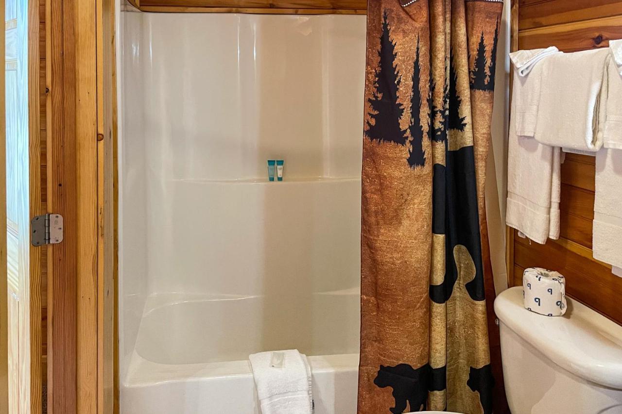 גטלינבורג Black Bear Hideaway Cabin מראה חיצוני תמונה